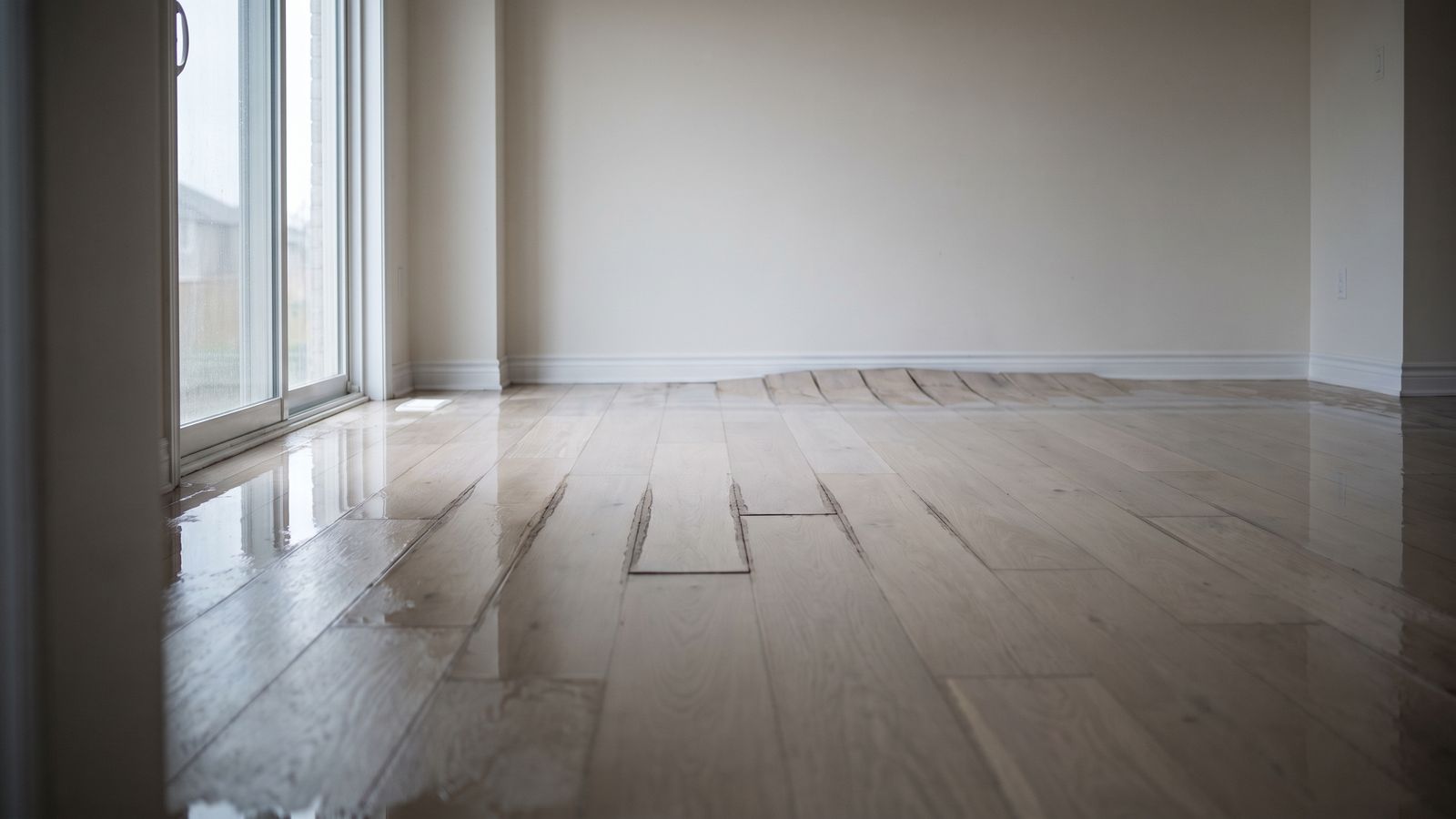 Standing water across a pale oak plank floor with darkening seams, hours before a buckled floor after water damage.