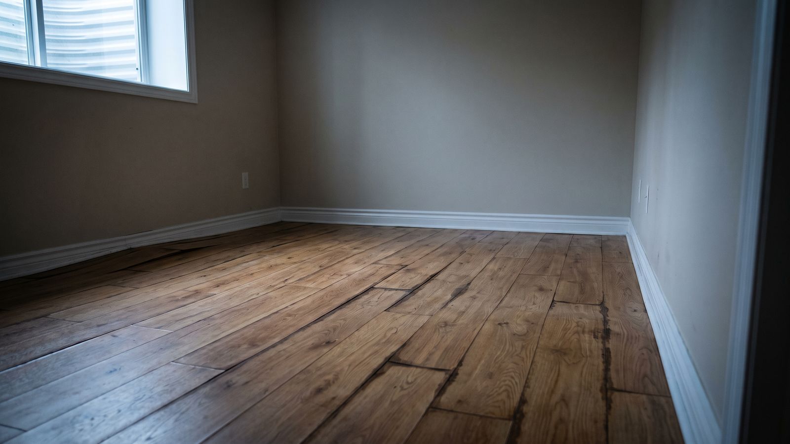 Wide oak boards swollen tight and riding up at the baseboard, an early buckled floor after water damage.