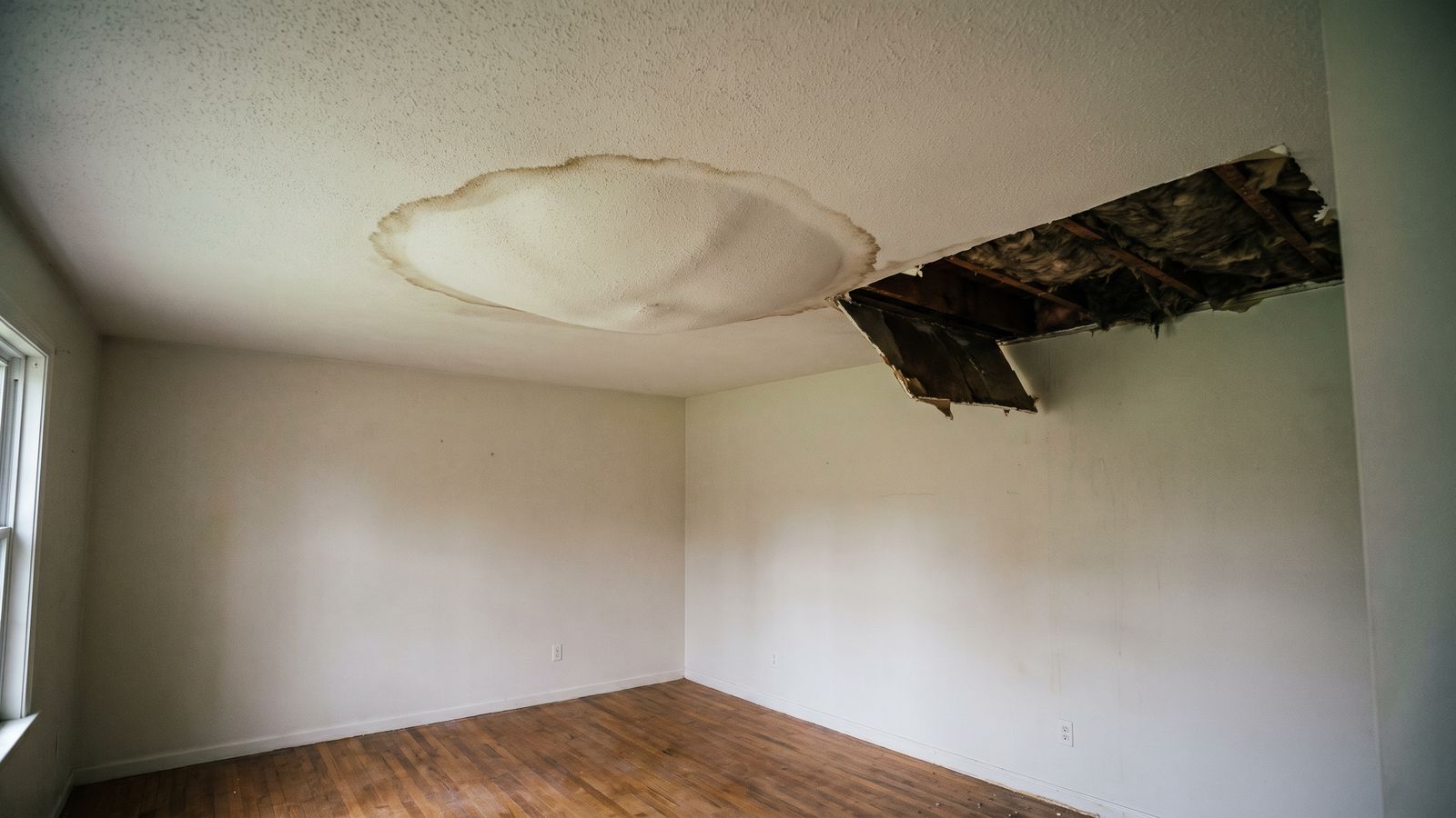 Water-filled ceiling bulge cut open to joists Water-filled ceiling bulge cut open to wet joists, the hidden spread behind burst pipe what to do