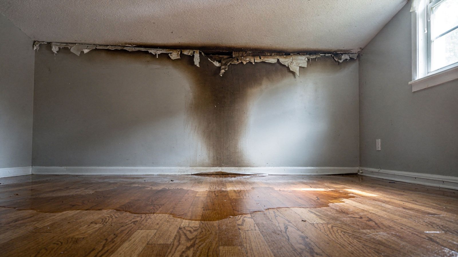 Drywall blown out at a ceiling seam above a wet oak floor, days of burst supply line water damage away from home