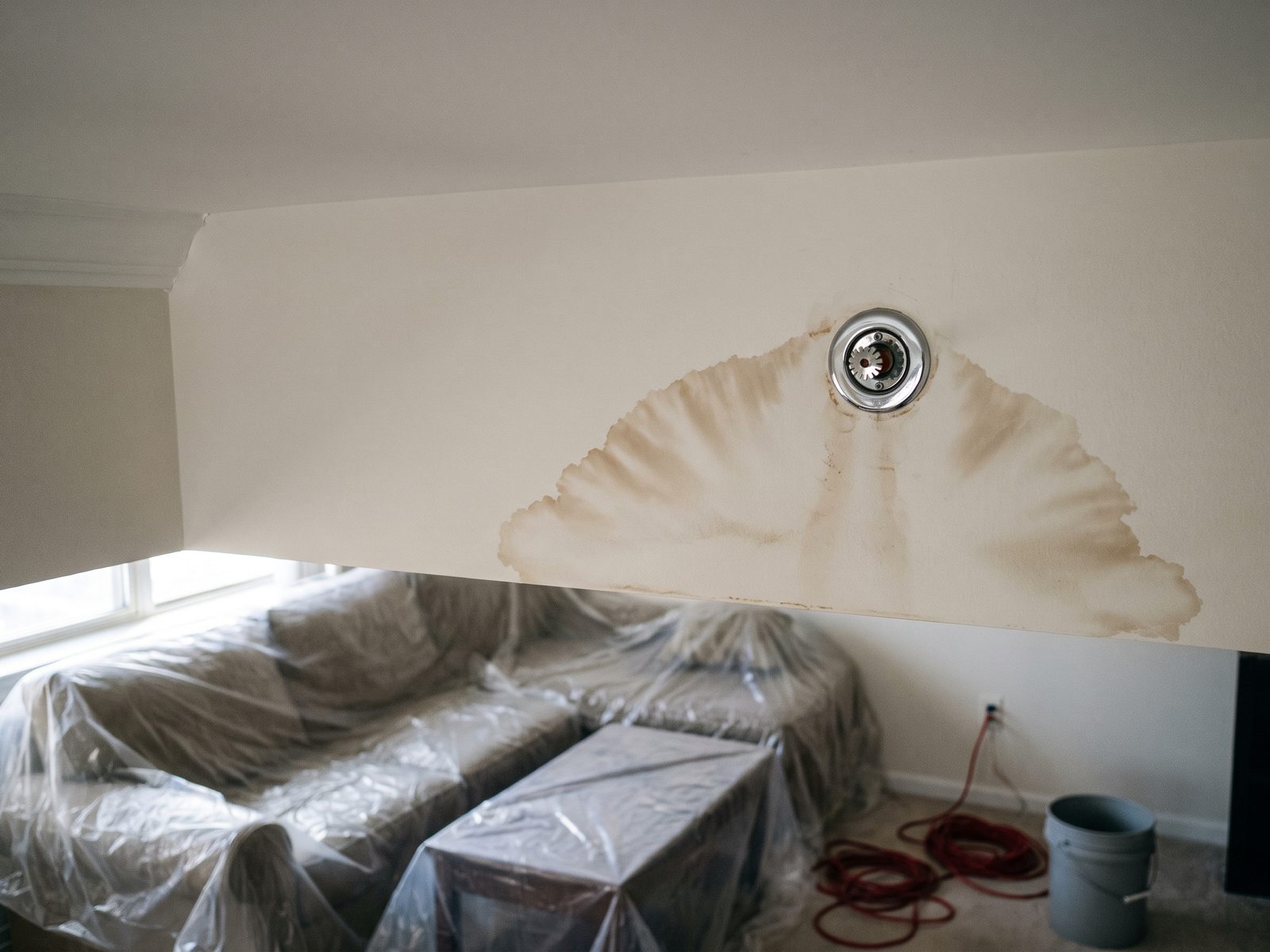 Spreading brown stain on a condominium unit ceiling around a sprinkler escutcheon with furniture covered below.