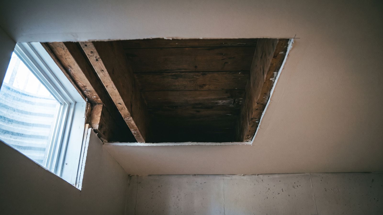Ceiling drywall cut open to bare joists Rectangular opening cut in a basement ceiling exposing bare joists, the cut-and-replace tier of water damaged ceiling repair
