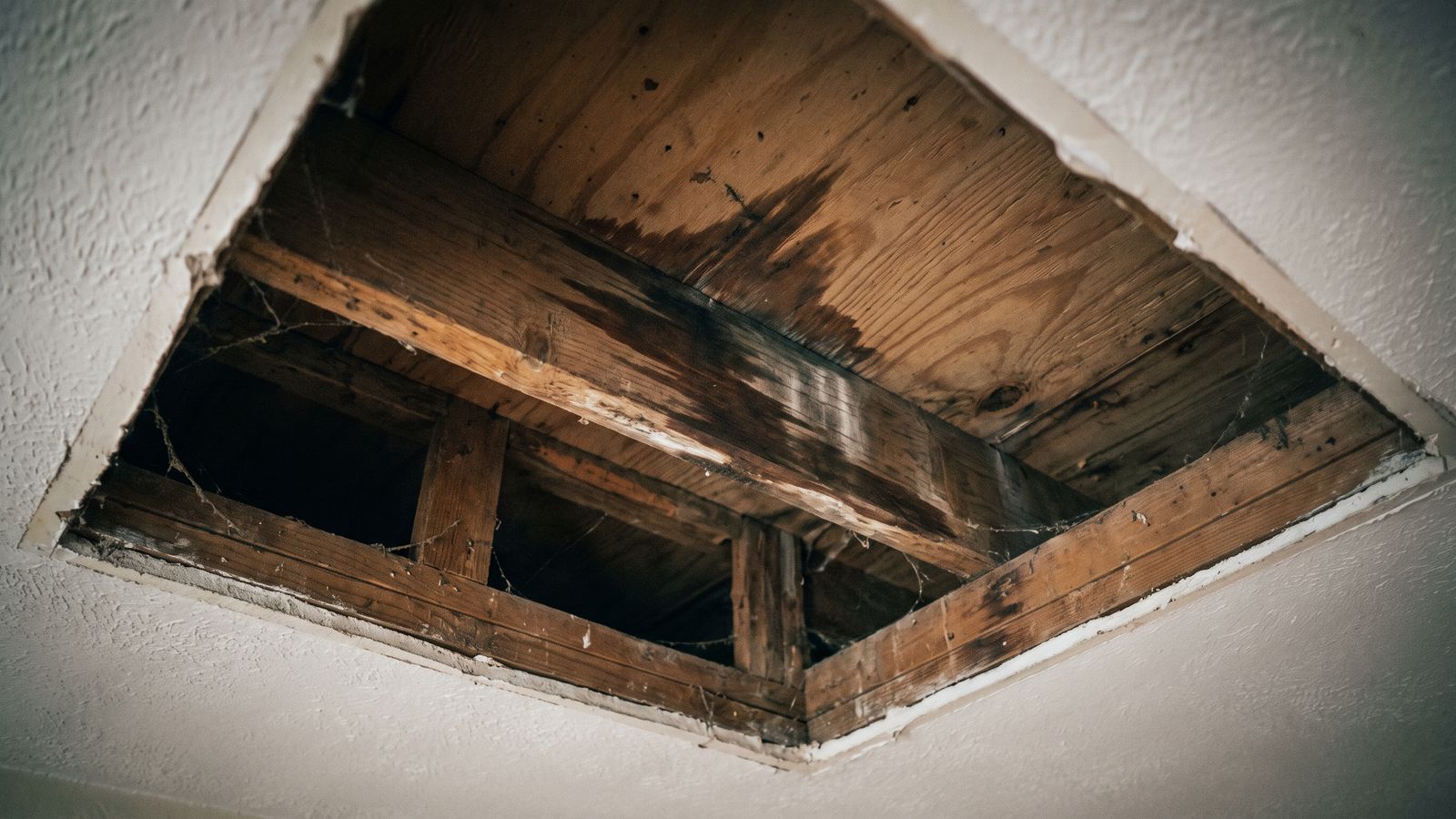 Water staining along joists above a ceiling Dark moisture staining tracking along joists and subfloor above an opened ceiling, hidden water damaged ceiling spread