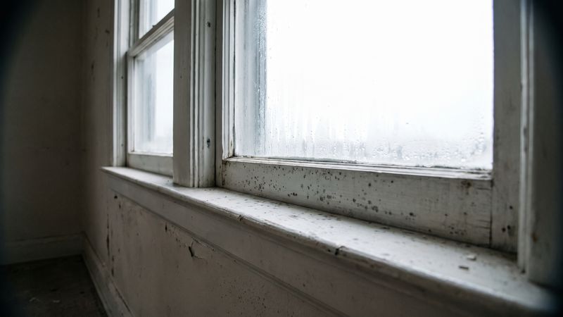 Surface mold speckling a painted window stool and sash, the small end of DIY mold removal vs professional work