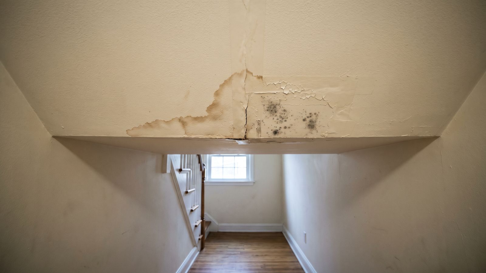 Brown tide ring and peeling paint on a hallway ceiling with gray-black speckling spreading where mold keeps coming back