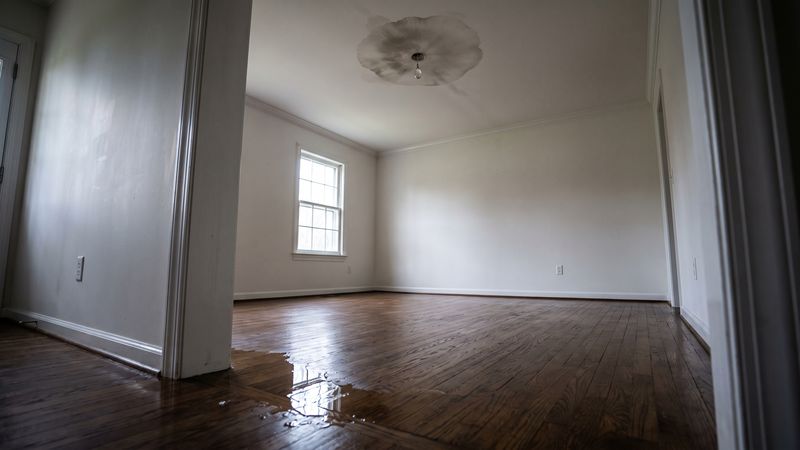 Ceiling stain and a forming water drop above a wet oak floor, the sudden water damage homeowners insurance covers