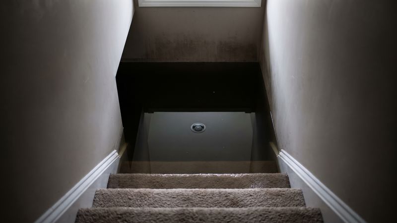 Dark standing water at the foot of carpeted basement stairs, the stay-out view that decides what to do in a flooded basement