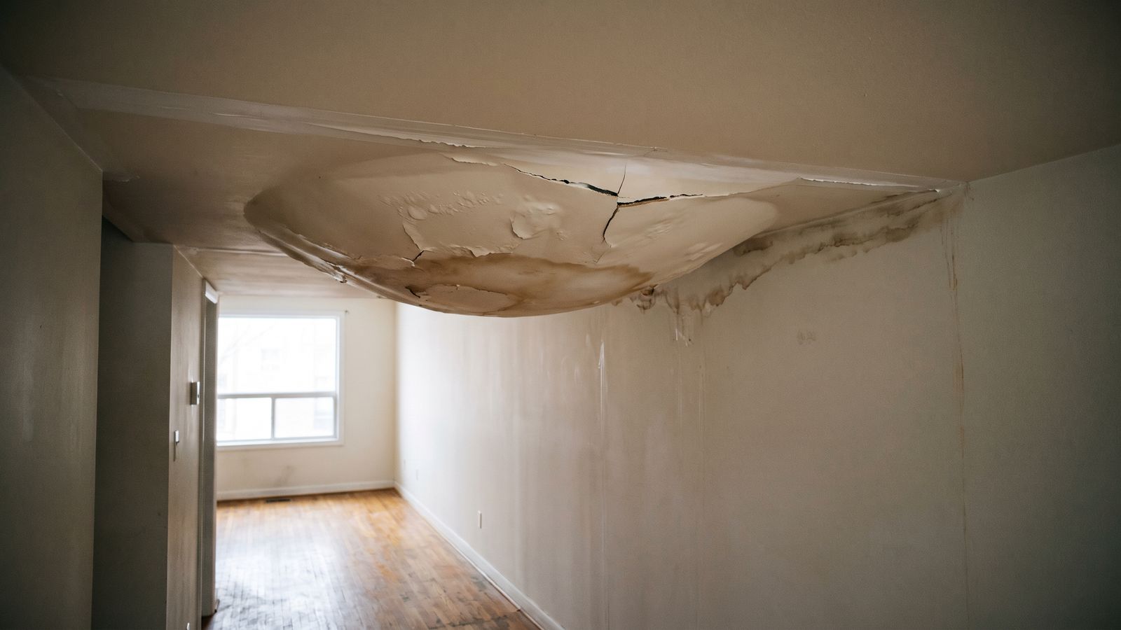 Stained ceiling bulge from a burst pipe Sagging water-stained ceiling bulge split along a drywall seam, burst pipe water damage tracking down the wall