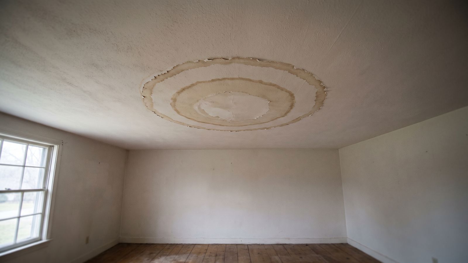 Concentric brown rings around a dried ceiling stain, a key clue in how to tell if water damage is old or new