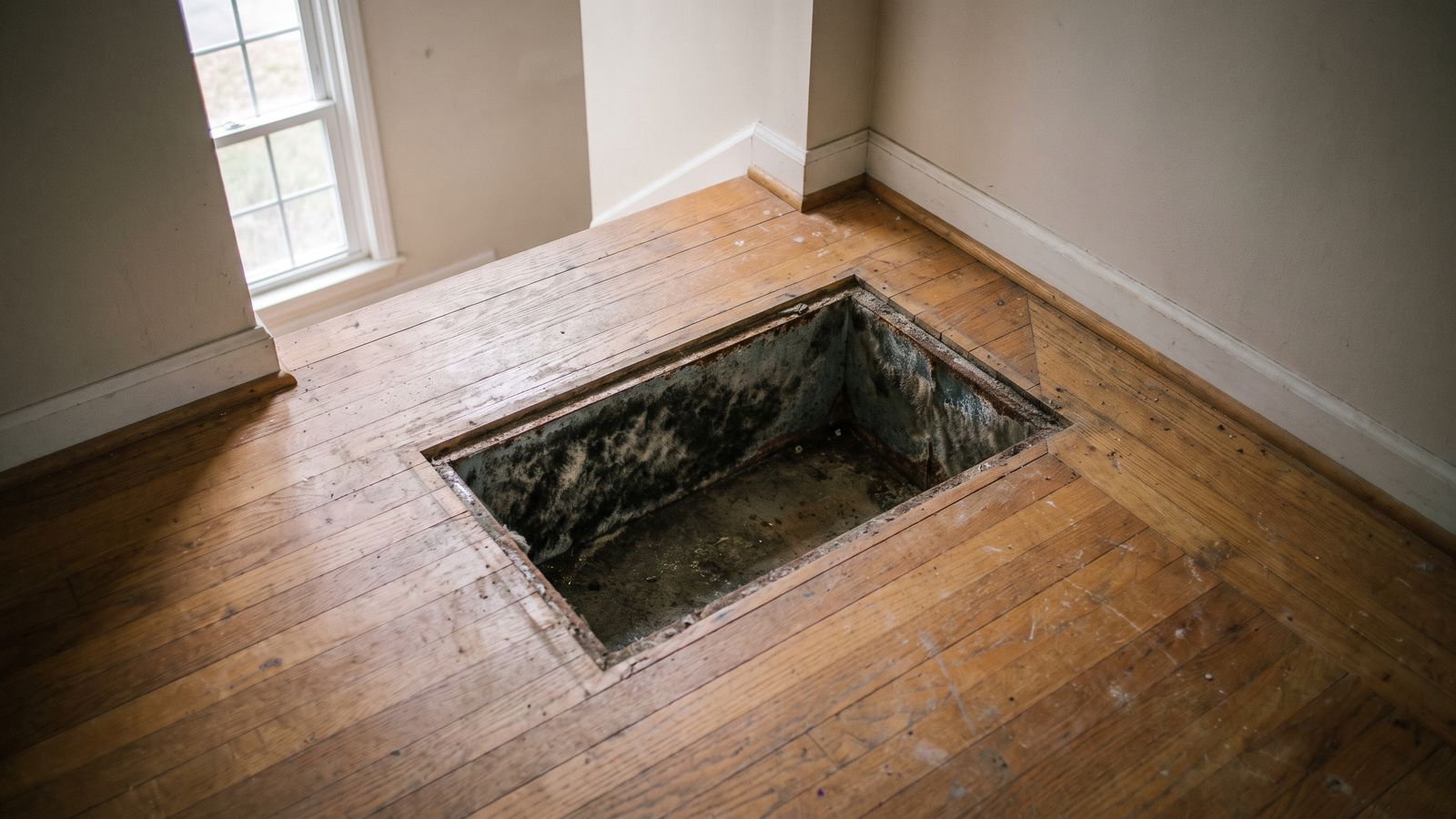 Black mold furring the bare metal sides of an opened floor duct in the wide plank wood floor of an empty room