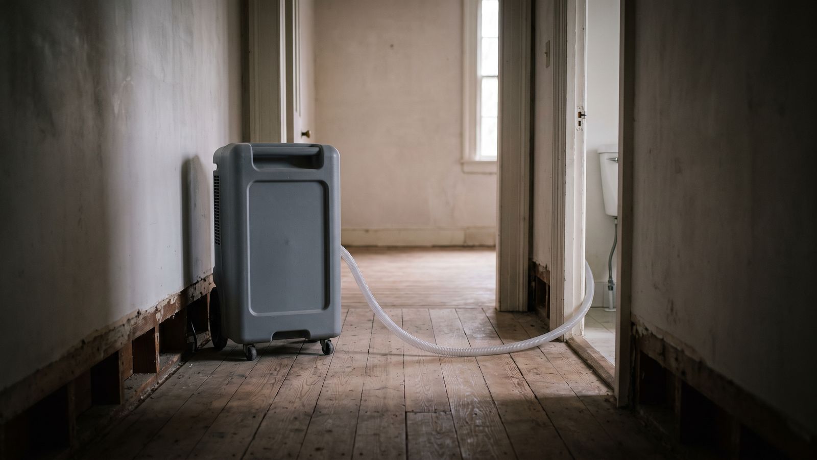 Dehumidifier drying a flood-cut hallway Commercial dehumidifier drying a hallway with walls cut back to the framing, the step that stops mold after water damage