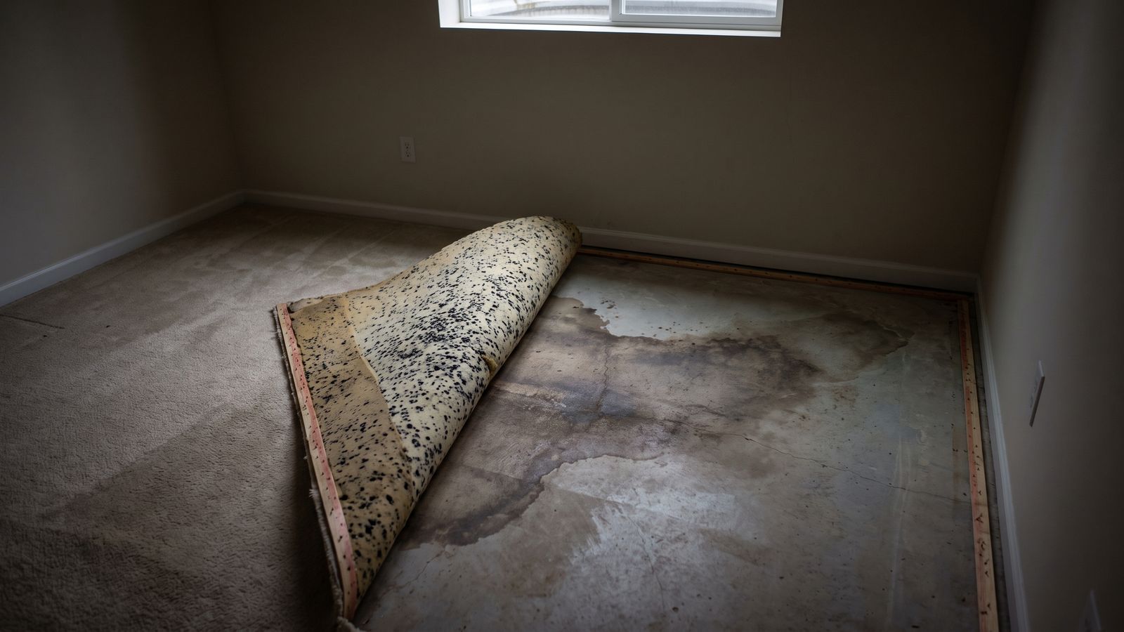 Carpet folded back off the tack strip to show mold-speckled padding and a stained slab, hidden mold an inspection finds