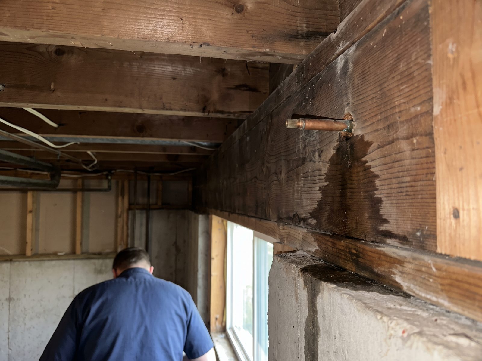 Wet staining on a rim joist below an outdoor spigot Copper pipe passing through a stained basement rim joist below an outdoor spigot, with dark wet staining down the sill plate.