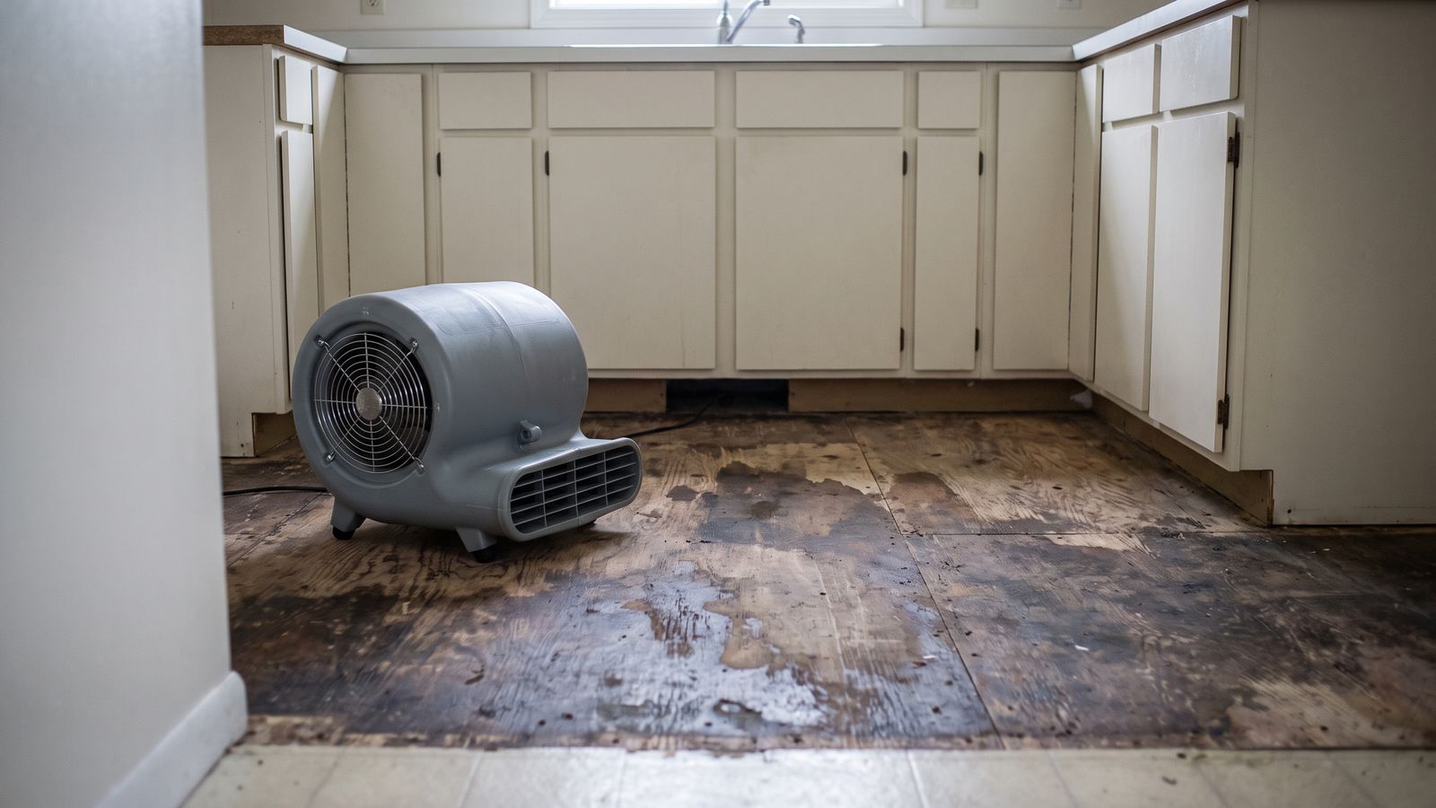 Air mover drying an exposed kitchen subfloor Air mover drying a stained subfloor with the kitchen flooring removed after refrigerator water line leak floor damage