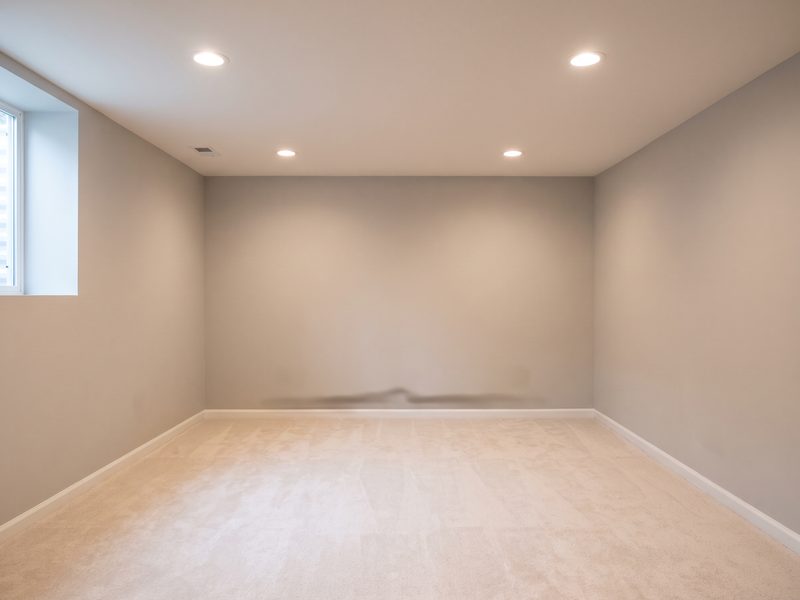 Empty repainted basement room with new carpet and a dark shadow still showing at the base of one wall.