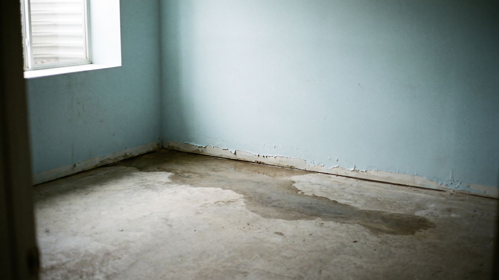 Damp outline spreading across a bare basement slab, one of the signs of hidden water damage below grade