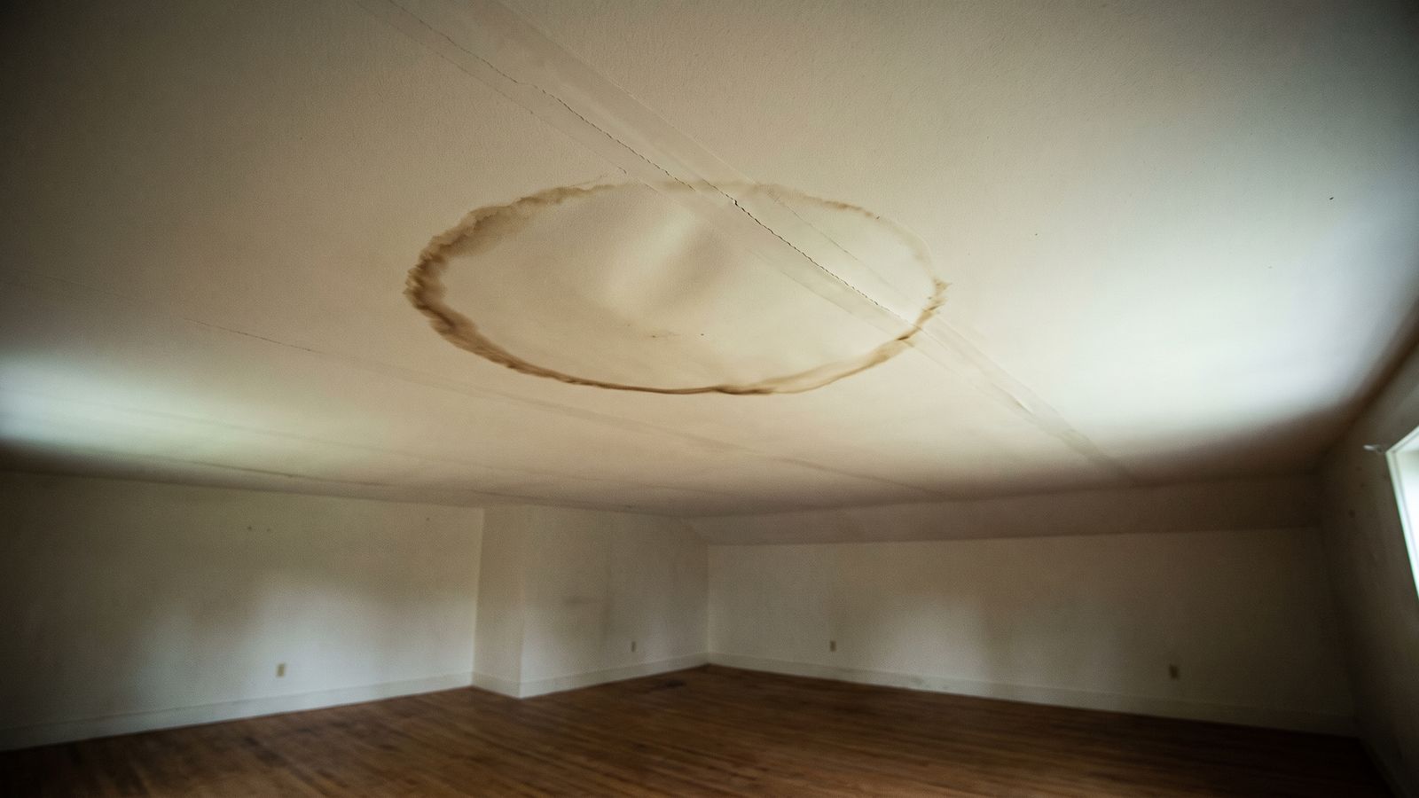 Brown-ringed ceiling stain sagging into a low bulge with cracked seams, overhead signs of water damage behind walls.