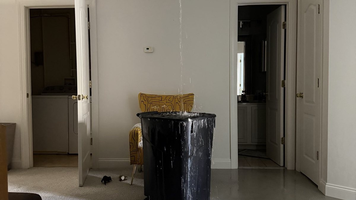 Water pours from an opening in the ceiling into a bin set on carpet already soaked through