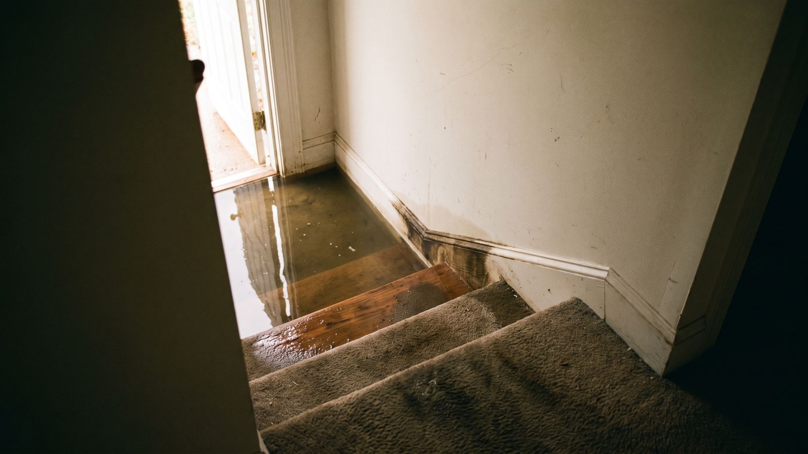 Standing water at the foot of a basement stair Standing water covering the floor at the foot of a carpeted basement stair, with dark staining along the baseboard