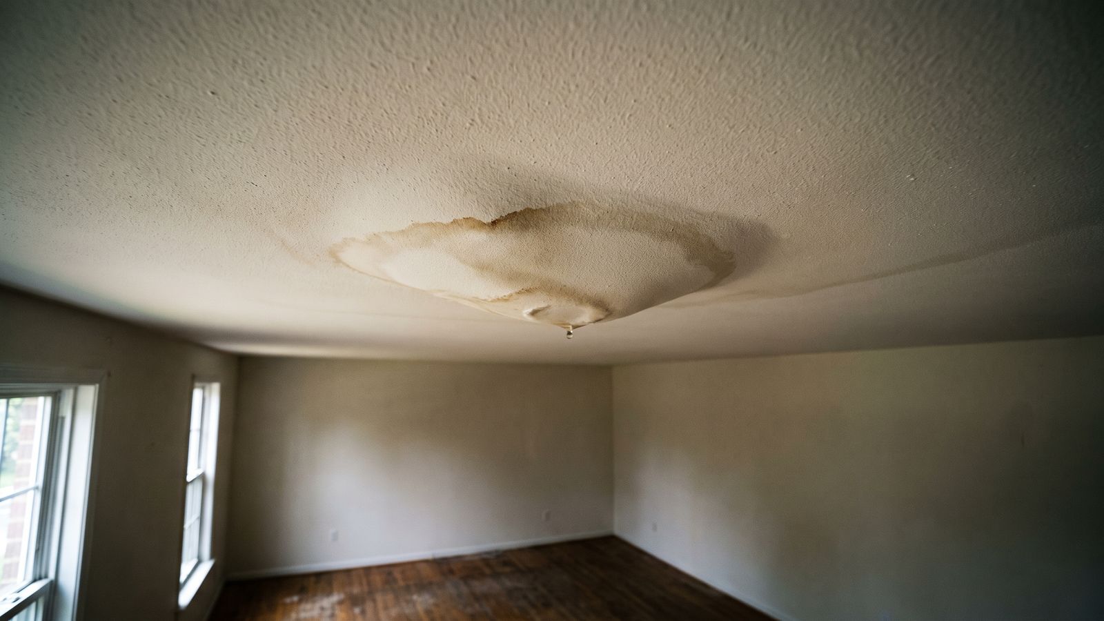 Sagging stained ceiling in the room below Sagging ceiling with a brown tide ring and a hanging drip from toilet overflow water damage above