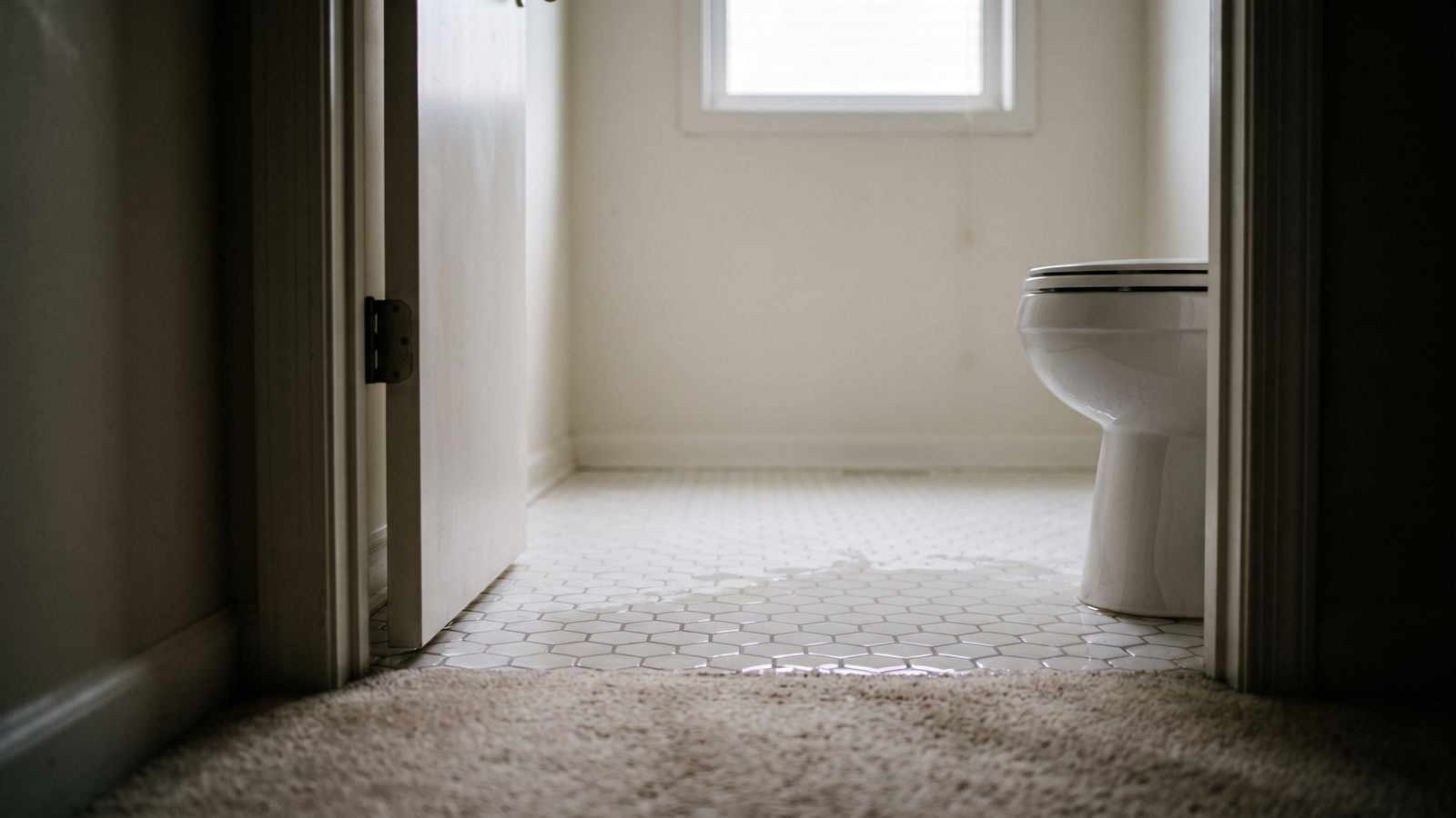 Water from a toilet overflow spreading onto hallway carpet Standing water from toilet overflow water damage pooled across hex tile at the hallway carpet edge