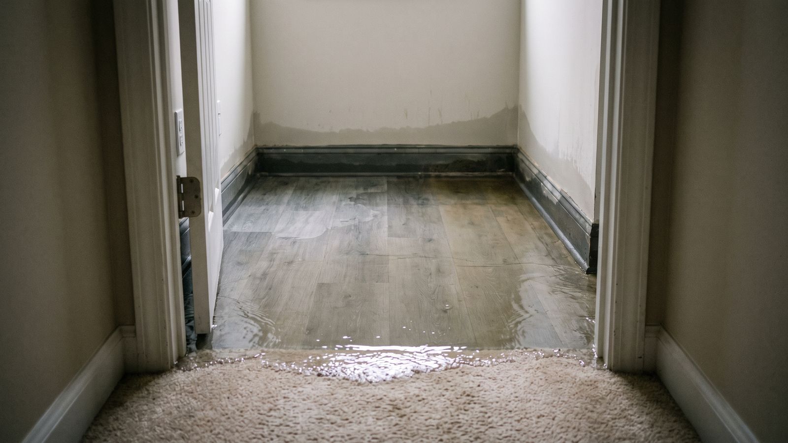 Laundry floor flooded by a washing machine overflow Standing water across a laundry room floor spilling onto hallway carpet from washing machine overflow water damage