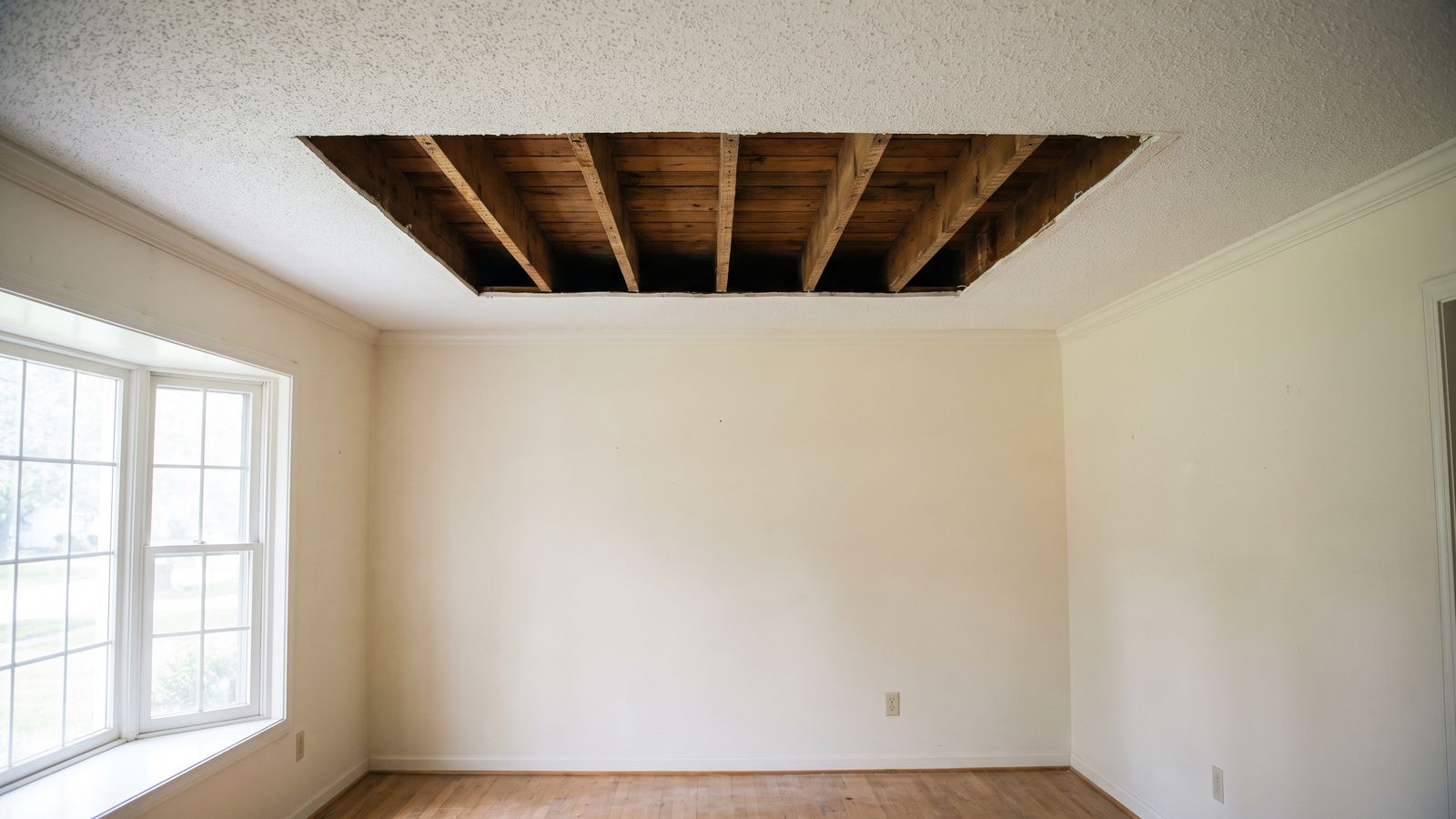 Ceiling cut back to bare joists after removal Rectangular ceiling opening cut back to bare joists where a water-damaged popcorn ceiling section was removed
