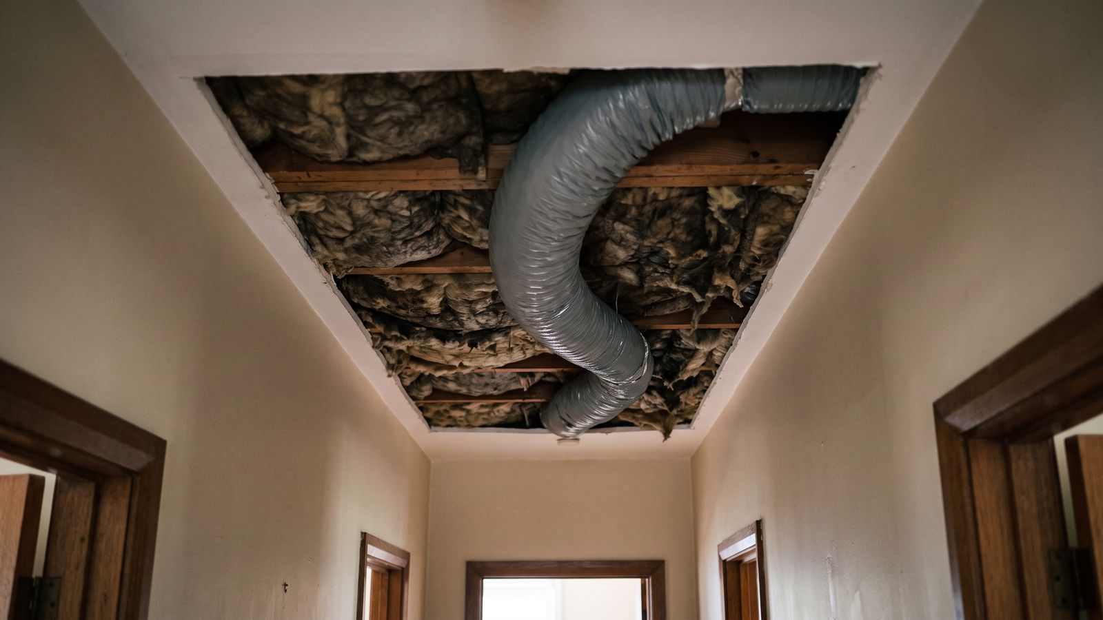 Hallway ceiling opened to show a flexible duct and darkened insulation in the joist bay, the path HVAC moisture travels.