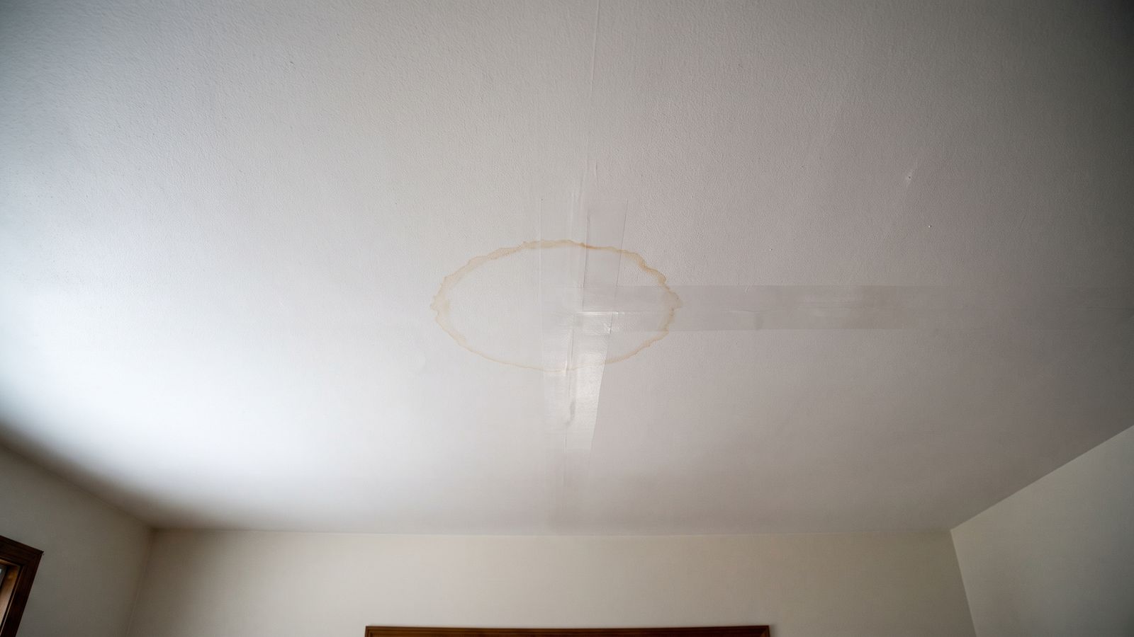 Water stain bleeding through repainted ceiling Amber water stain bleeding back through fresh paint on a ceiling repaired after a water damaged ceiling collapse