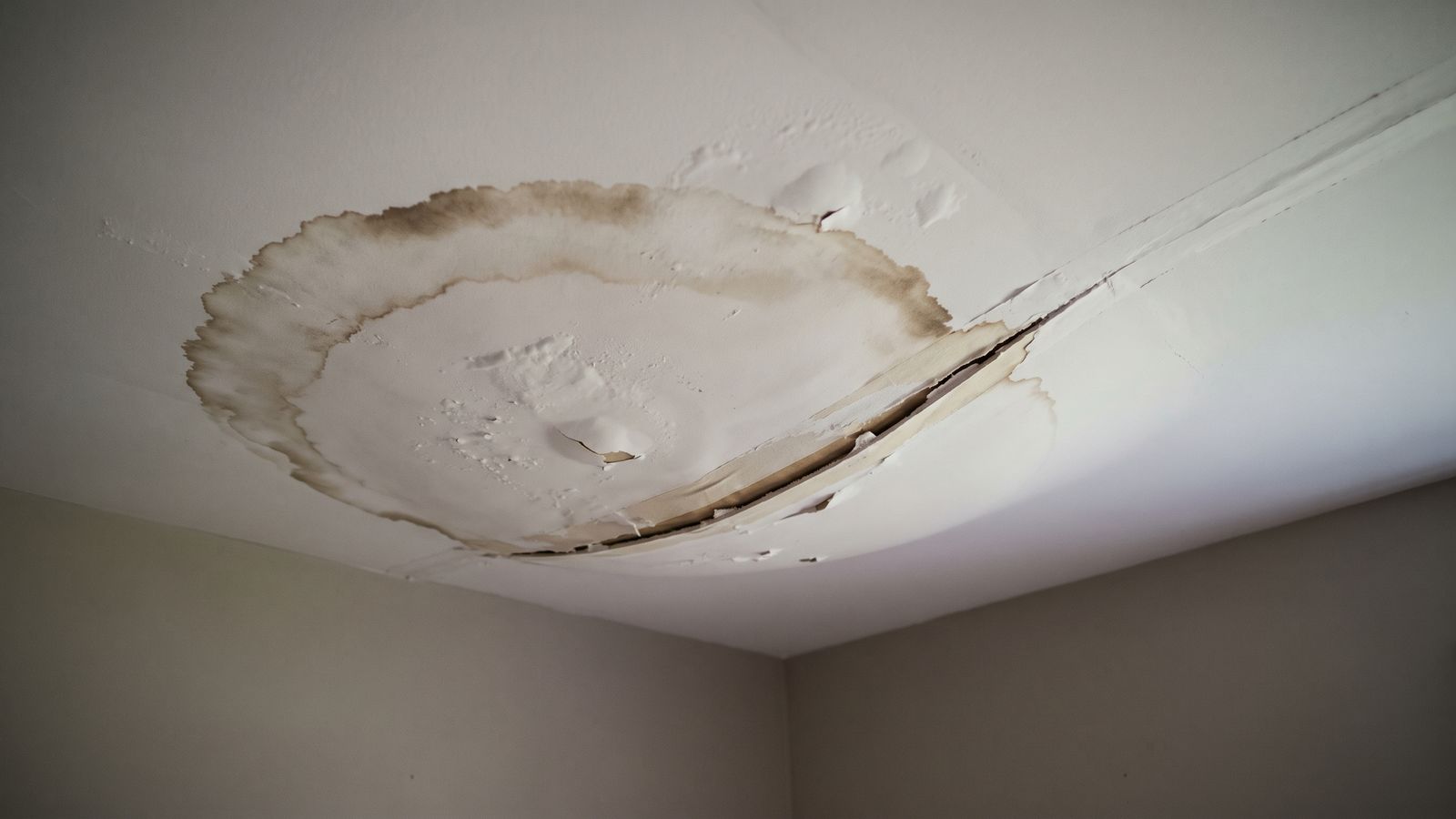 Brown tide ring and blistered paint on a ceiling split open at the seam below a water heater leak upstairs