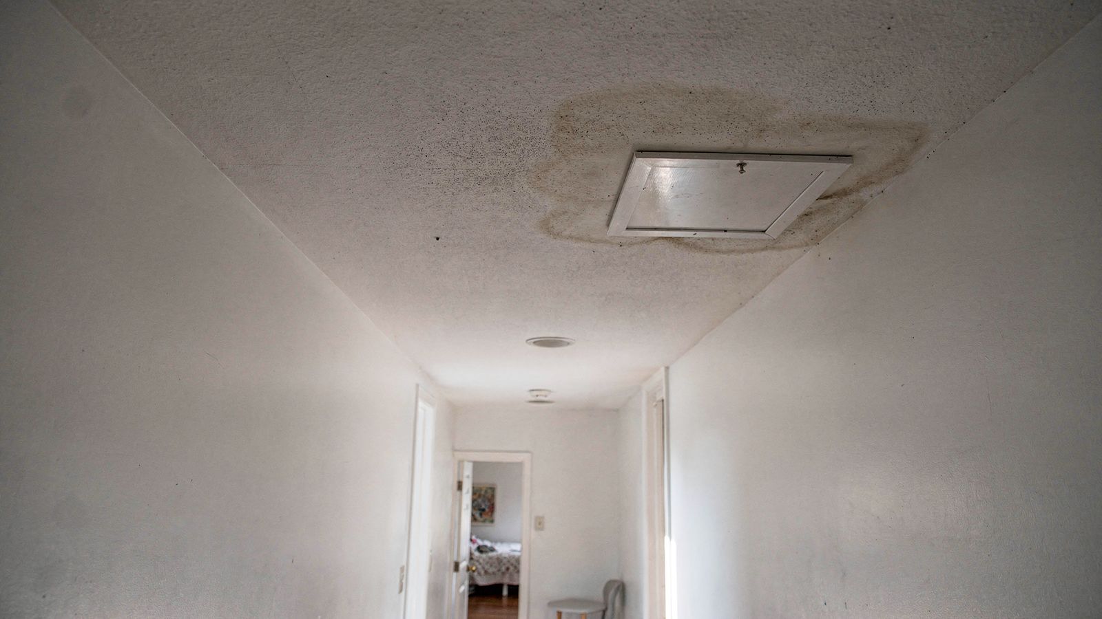 Water stain on ceiling around an attic hatch, a diffuse gray halo and fine speckling with no drip ring