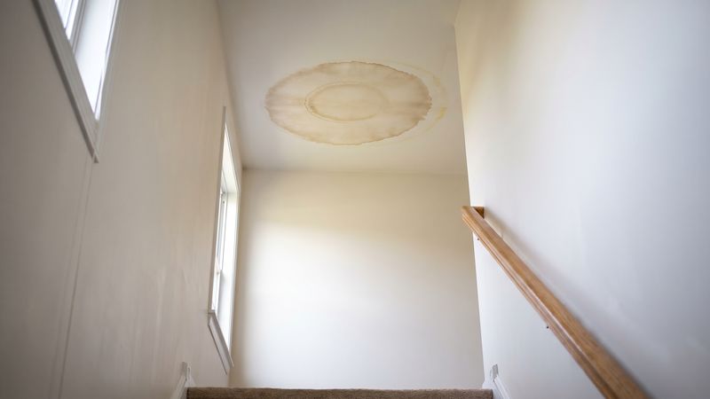 Water stain on ceiling no leak found: an oval brown mineral ring on painted drywall above a carpeted stair