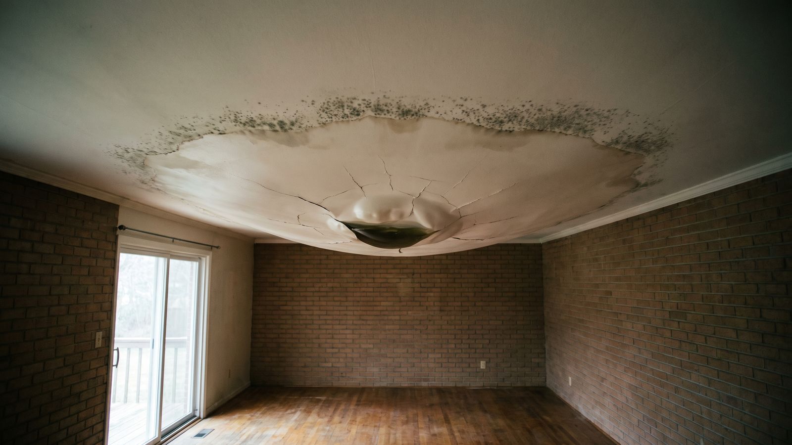 Water stain on ceiling sagging under trapped water, cracked at its lowest point with dark speckled growth at the edge