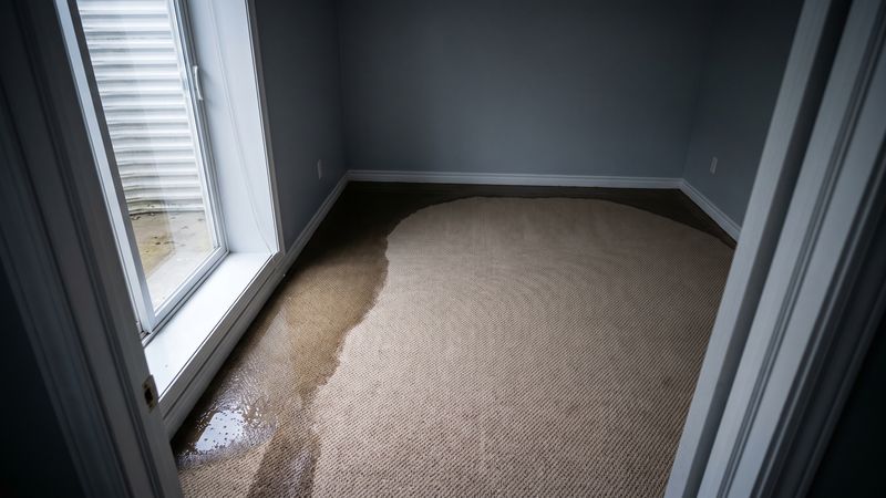 Wet carpet water damage darkening a beige basement carpet, with standing water pooled at the sliding glass door