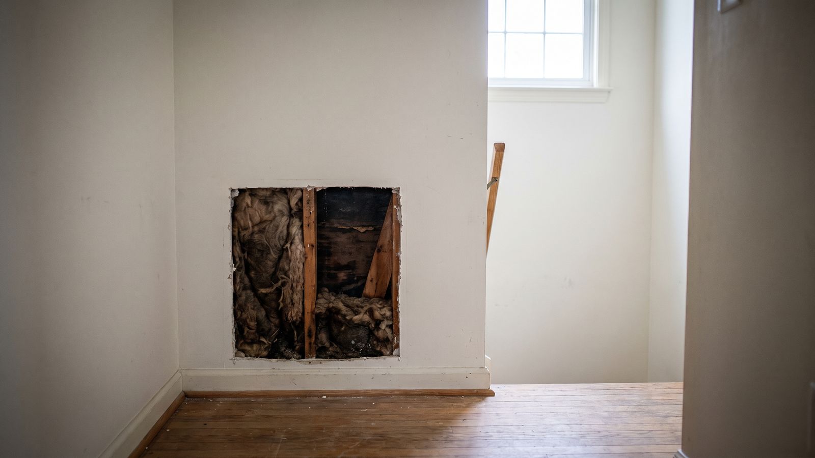 Small inspection cut in a painted hallway wall exposing dark, sodden wet insulation inside the stud cavity