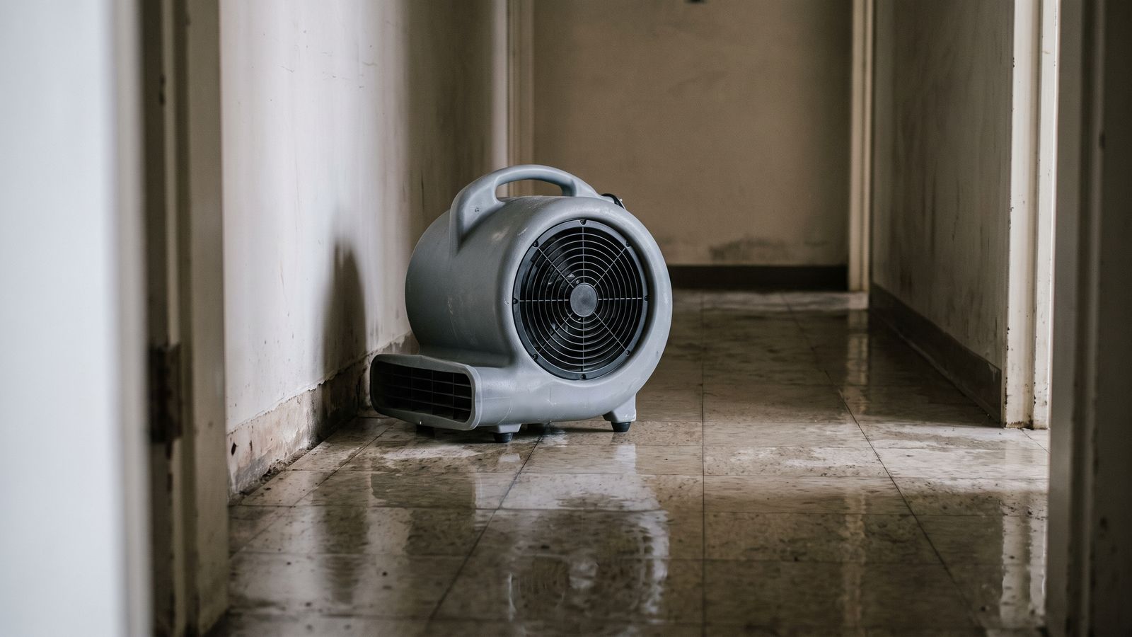 Air mover running on a wet tile hallway floor Centrifugal air mover set on a wet tile hallway floor beside a stained wall base during water mitigation