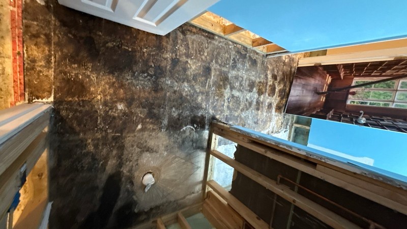 Heavy dark mold growth across an interior wall uncovered after the finish surfaces were pulled off