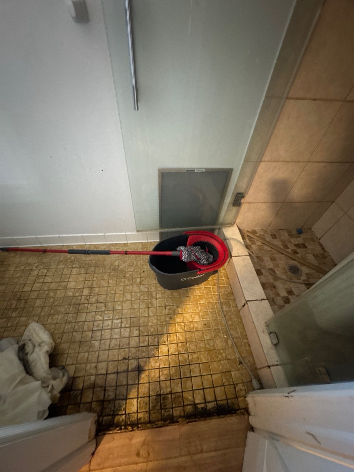 Mold growth on a bathroom wall in Chevy Chase, MD, photographed before remediation and structural drying