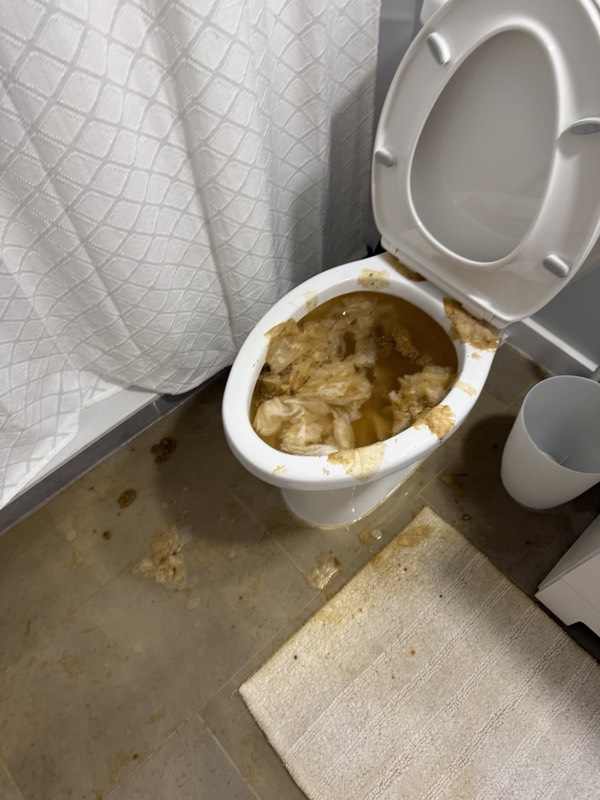 Category 3 sewage backup contaminating a floor in Alexandria, VA, before biohazard cleanup and decontamination