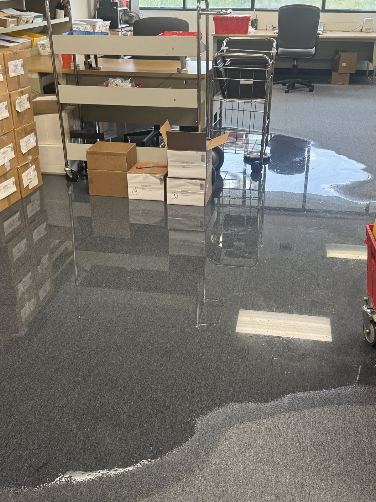 Before restoration: commercial office flood extraction & drying on a documented Miami, FL restoration project by Restoration Doctor.