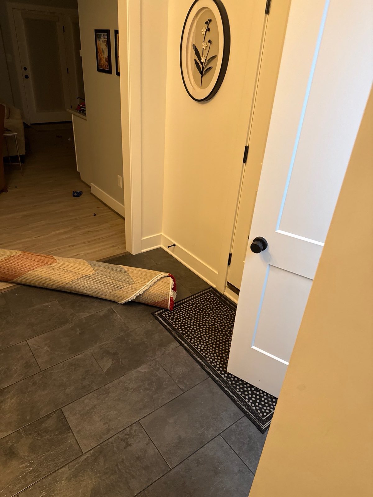 Standing water during an emergency water extraction project in Arlington, VA, the kind of loss a real Xactimate scope is built from