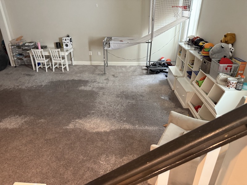 Saturated basement carpet on a documented Restoration Doctor water extraction and drying project
