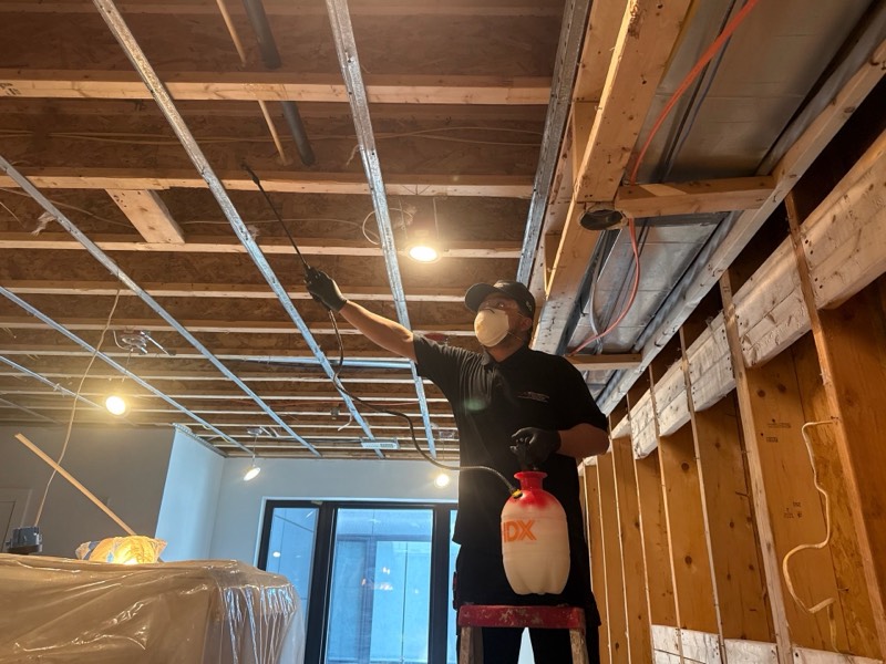 Technician in PPE spraying antimicrobial on exposed studs and ceiling joists on a documented Restoration Doctor project