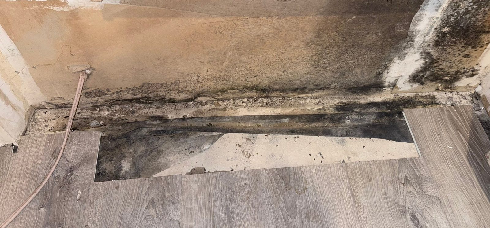 Dark mold growth on the wall base and around an opening in the floor covering in a closet on a documented project in McLean, VA, September 2026