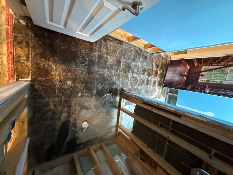 Mold remediation and selective demolition on an Arlington, VA water damage project