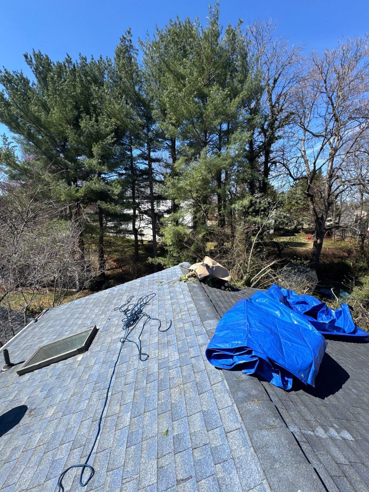 Blue tarp folded on a shingled roof beside a skylight, with rope laid out and tall trees beyond, Vienna, VA, March 2026