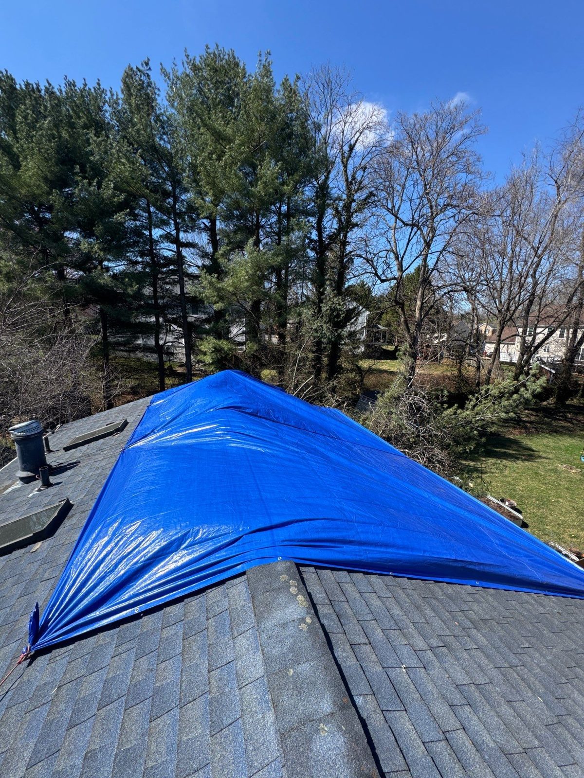 Blue tarp spread over one section of a shingled roof next to a vent pipe and skylights, Vienna, VA, March 2026