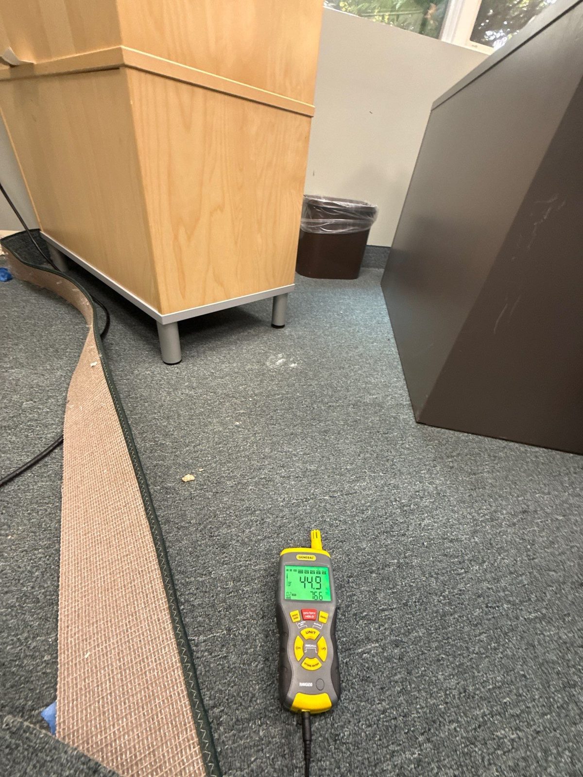Moisture meter on carpet beside a pulled-back strip of carpet, reading 44.9, Sterling, VA, September 20, 2025
